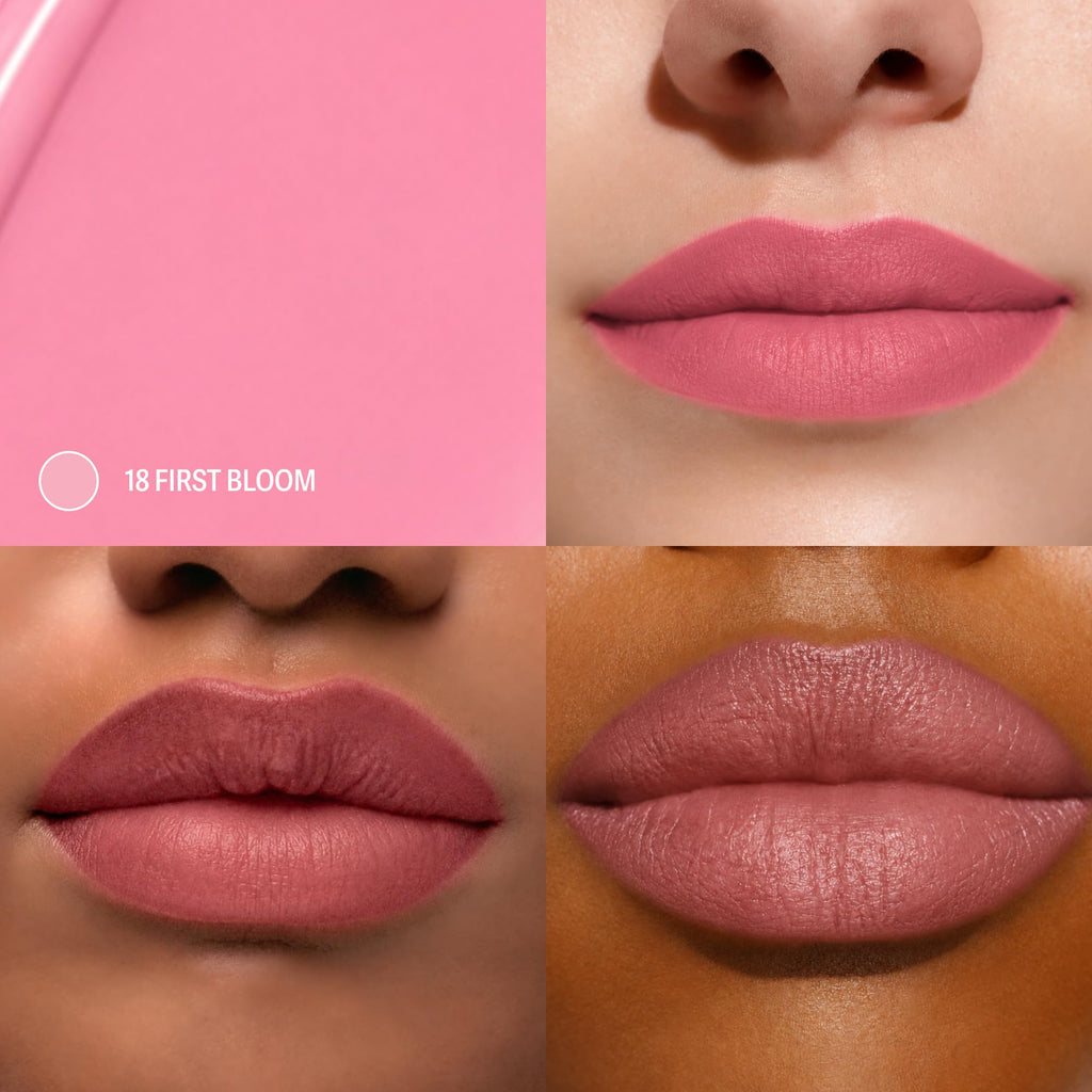 Sacheu Lip Liner STAY-N Peel Off Lip Stain, Longwear, p-INKED