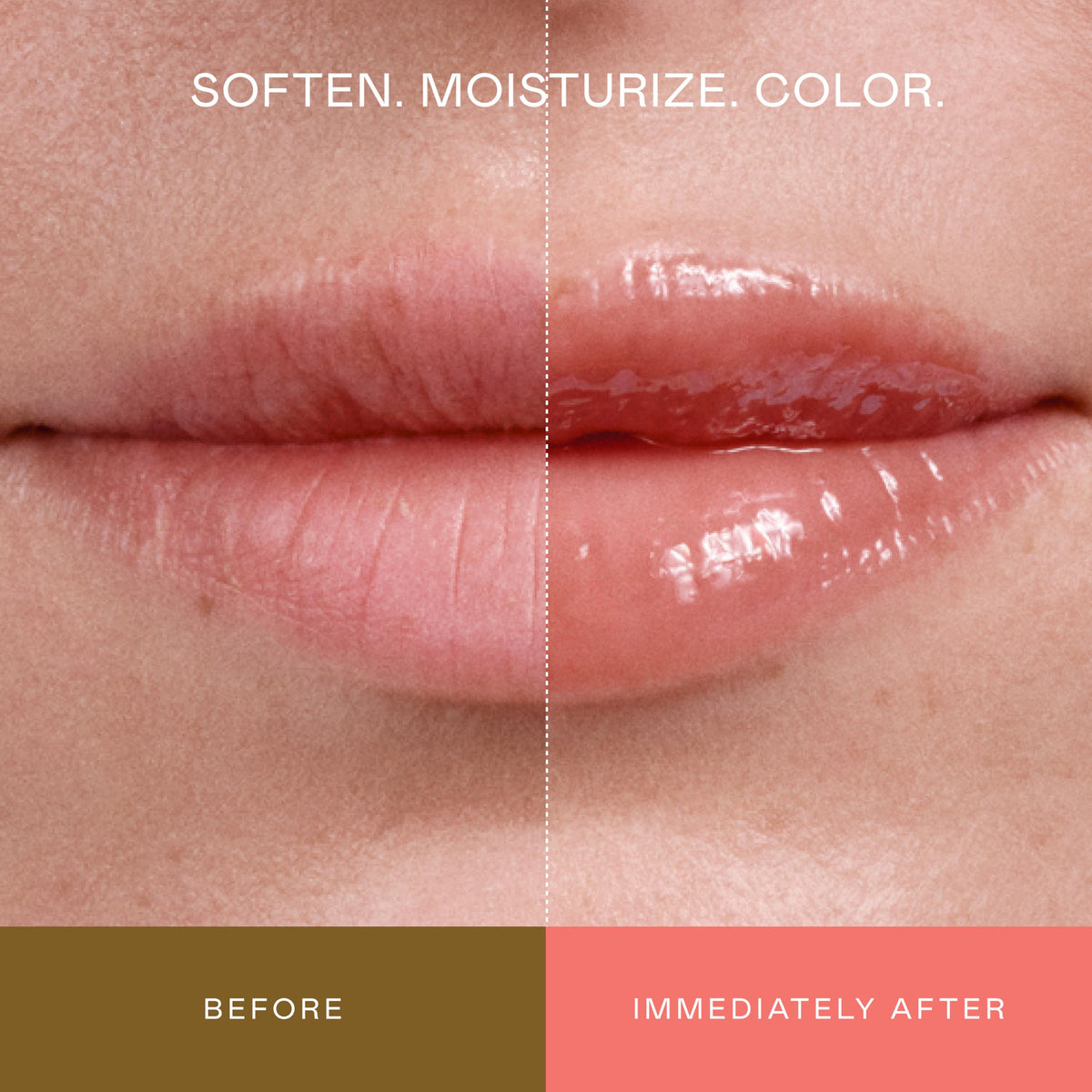 EADEM Tinted Lip Balm, Moisturizing Lip Gloss Tube for Women, Chateau Rose